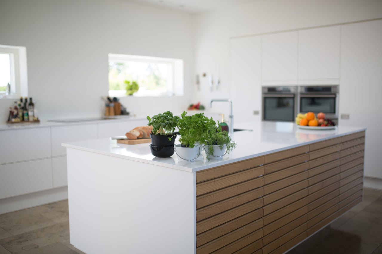 Spacious, light-filled kitchen with modern design and fresh herbs on the counter.
